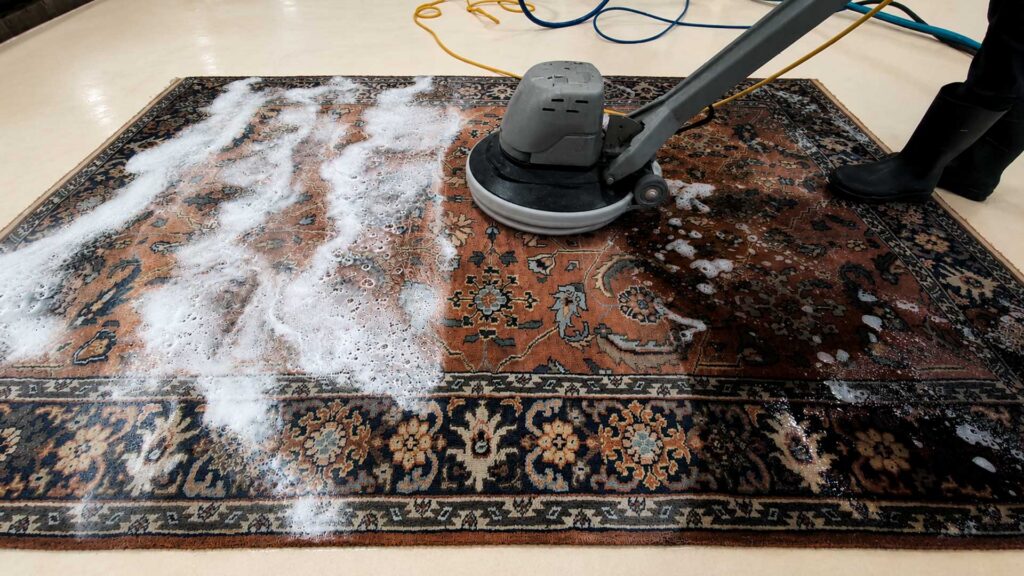southwest rug cleaning phoenix,scottdale arizona 11 why professional rug cleaning in phoenix is essential for protecting your home investment